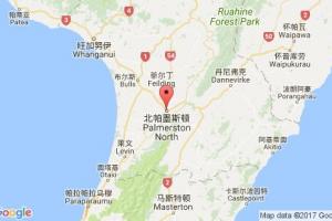 北帕墨斯頓港口查詢_plamerston north港口代碼_新西蘭北帕墨斯頓港口代碼